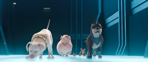 DC.League.of.Super.Pets.2022.BluRay.1080p.TrueHD7.1.x265.10bit-CHD096812.png