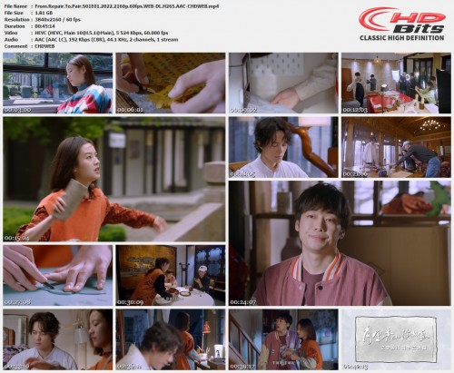 From.Repair.To.Pair.S01E01.2022.2160p.60fps.WEB-DL.H265.AAC-CHDWEB.mp4.jpg