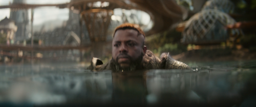 Black.Panther.Wakanda.Forever.2022.BluRay.1080p.DTS-HDMA7.1.x264-CHD133026.png