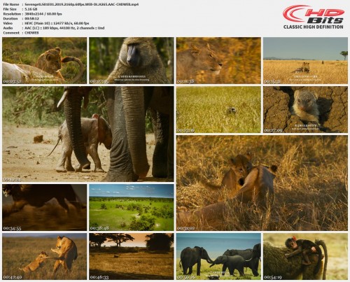 Serengeti.S01E01.2019.2160p.60fps.WEB-DL.H265.AAC-CHDWEB.mp4.jpg
