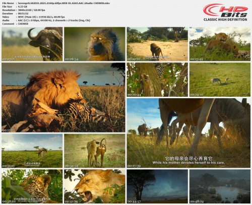 Serengeti.S02E01.2021.2160p.60fps.WEB DL.H265.AAC.2Audio CHDWEB.mkv