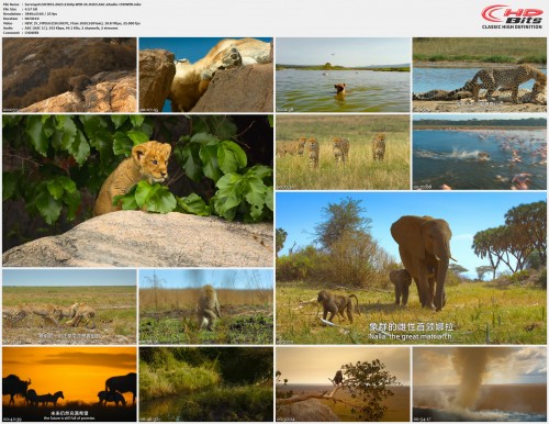 Serengeti.S03E01.2023.2160p.WEB-DL.H265.AAC.2Audio-CHDWEB.mkv.jpg