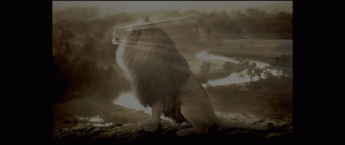 03.gif