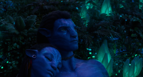 Avatar.The.Way.of.Water.2022.BluRay.1080p.DTS-HDMA5.1.x264-CHD008591.png