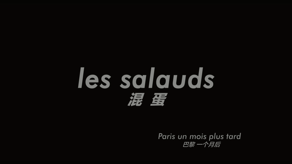 Les-Salauds-2013-1080P_001_12143.png