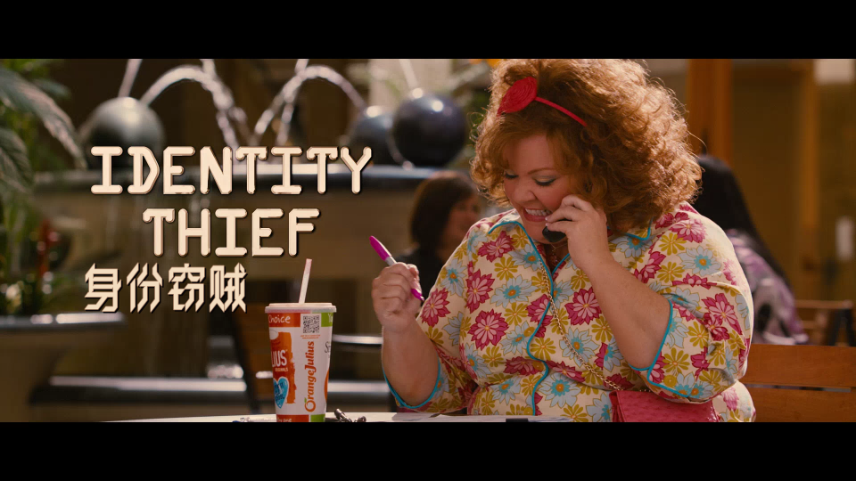 Identity-Thief-2013-Theatrical-Cut-1080P-EUR_001_1920.png