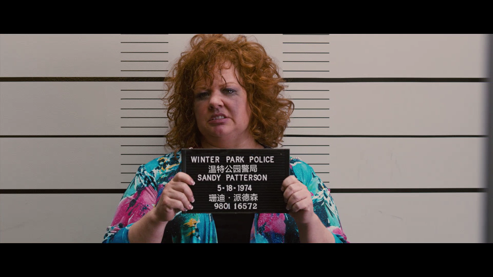 Identity-Thief-2013-Theatrical-Cut-1080P-EUR_001_6691.png