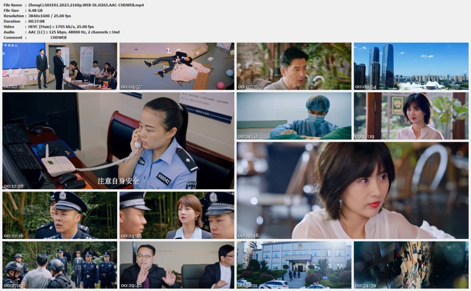 ZhengCi.S01E01.2023.2160p.WEB-DL.H265.AAC-CHDWEB.mp4.jpg