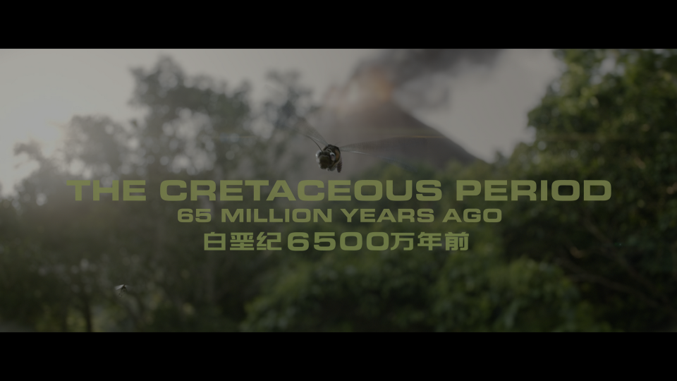 00001d73761b6d4037c50.png