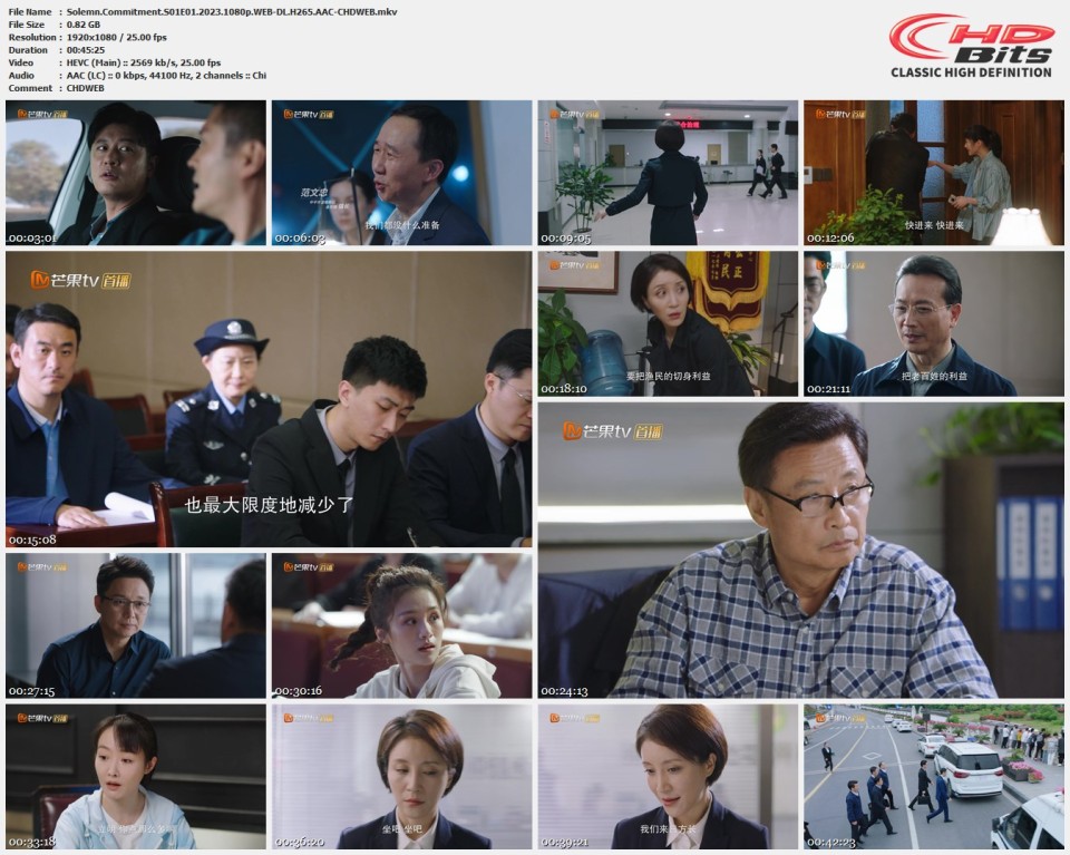 Solemn.Commitment.S01E01.2023.1080p.WEB-DL.H265.AAC-CHDWEB.mkv.jpg