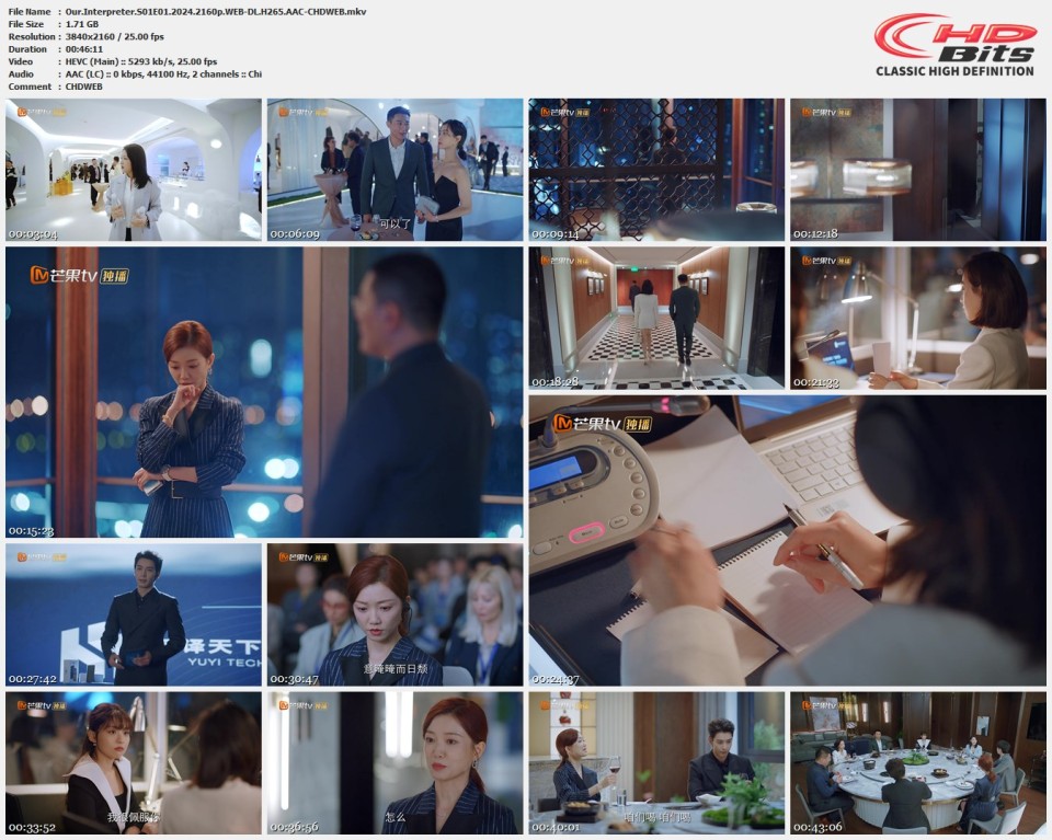 Our.Interpreter.S01E01.2024.2160p.WEB-DL.H265.AAC-CHDWEB.mkv.jpg