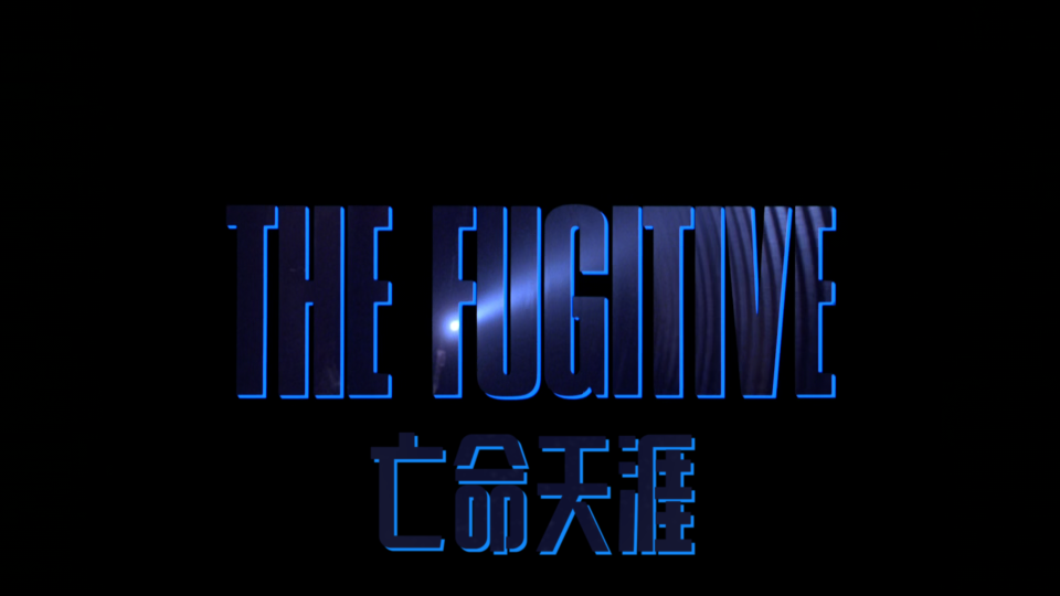 The.Fugitive.1993.1080p.Bluray.x265.10bit.DTS-ADE_001_1057.png
