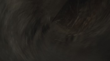 screenshot.trr.06
