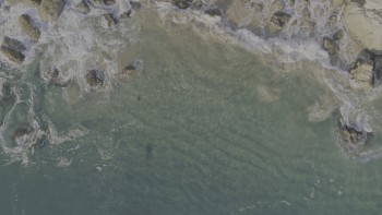 Planet.Earth.III.S01E01.2023.Bluray.2160p.TrueHD-7.1.HDR.x265.10bit-CHD.mkv_20240206_195827.159