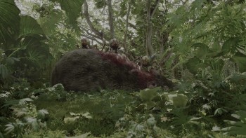 Aquaman_and_the_Lost_Kingdom_2023_UHD_Remux_05