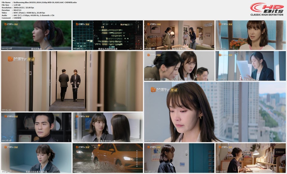 Reblooming.Blue.S01E01.2024.2160p.WEB-DL.H265.AAC-CHDWEB.mkv.jpg