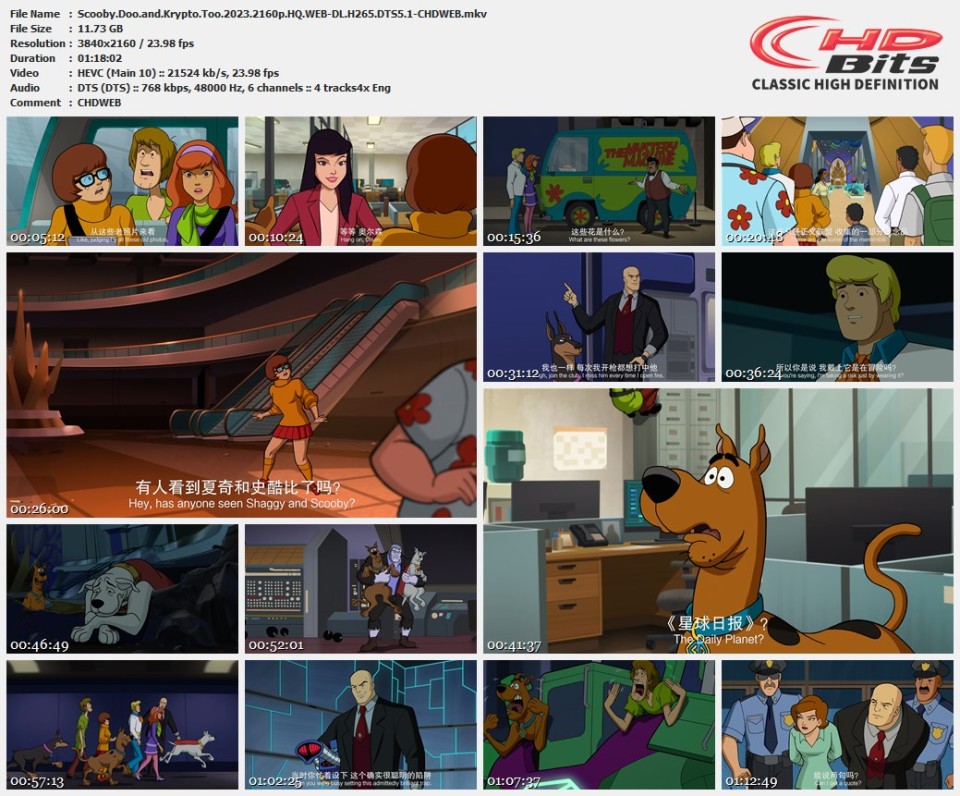 Scooby.Doo.and.Krypto.Too.2023.2160p.HQ.WEB-DL.H265.DTS5.1-CHDWEB.mkv.jpg