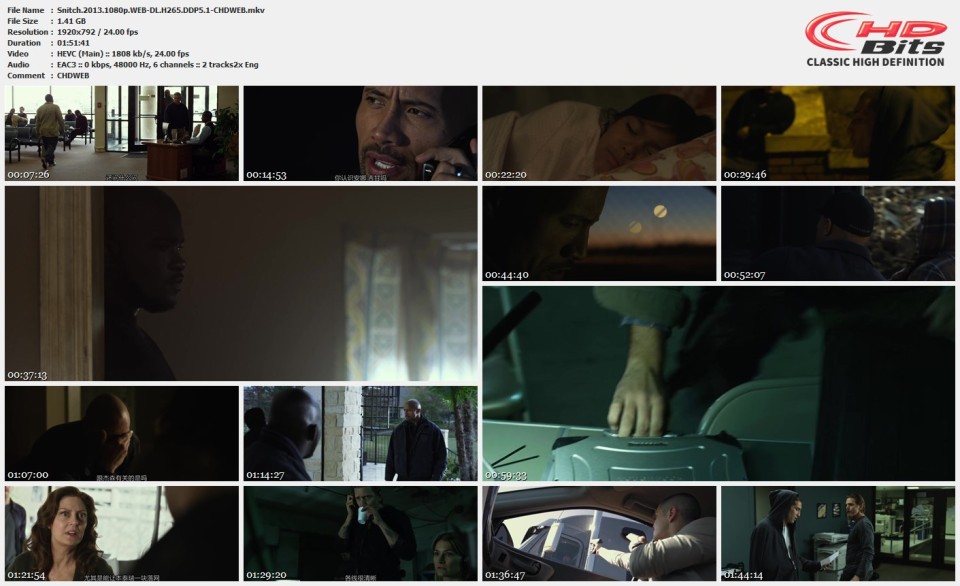 Snitch.2013.1080p.WEB-DL.H265.DDP5.1-CHDWEB.mkv.jpg