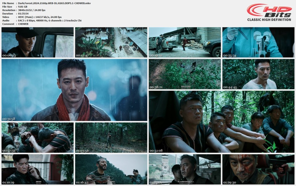 Dark.Forest.2024.2160p.WEB-DL.H265.DDP5.1-CHDWEB.mkv.jpg