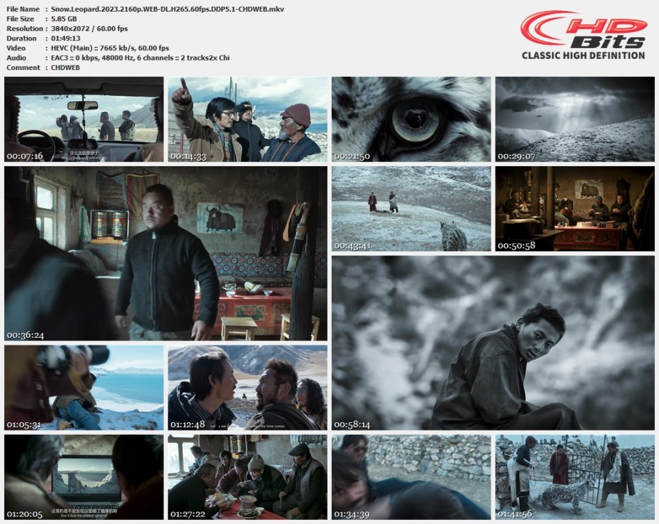 Snow.Leopard.2023.2160p.WEB-DL.H265.60fps.DDP5.1-CHDWEB.mkv.jpg