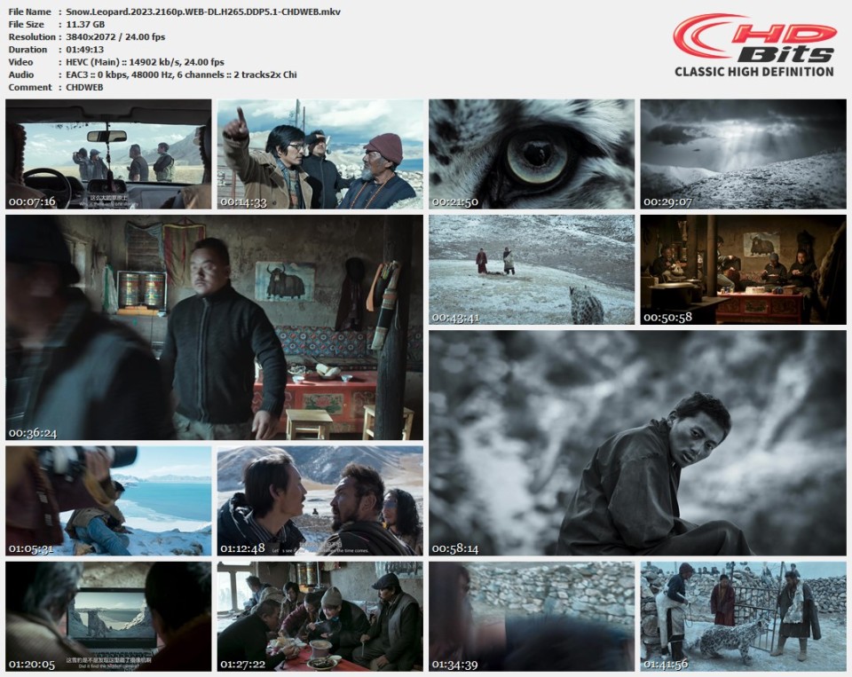 Snow.Leopard.2023.2160p.WEB-DL.H265.DDP5.1-CHDWEB.mkv.jpg