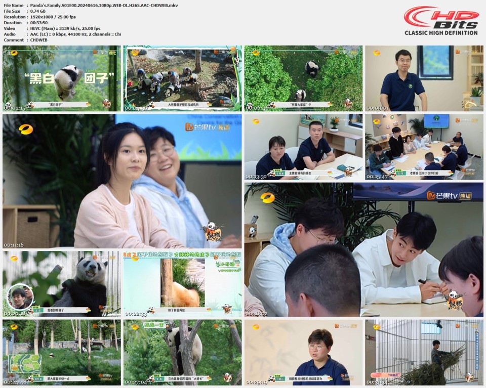 Pandas.Family.S01E00.20240616.1080p.WEB-DL.H265.AAC-CHDWEB.mkv.jpg