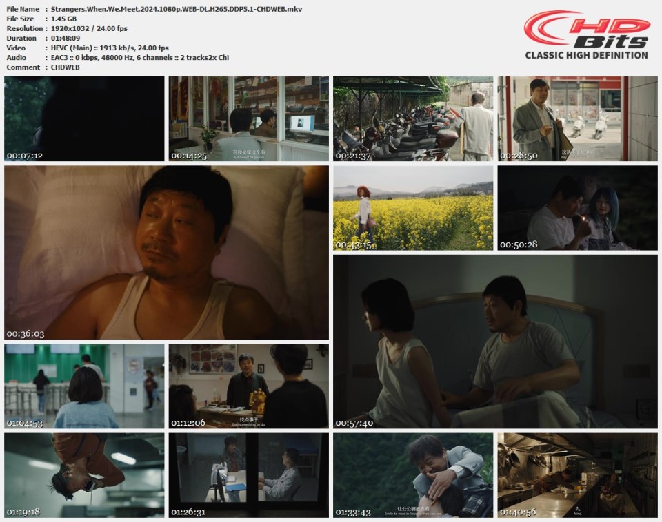 Strangers.When.We.Meet.2024.1080p.WEB-DL.H265.DDP5.1-CHDWEB.mkv.jpg