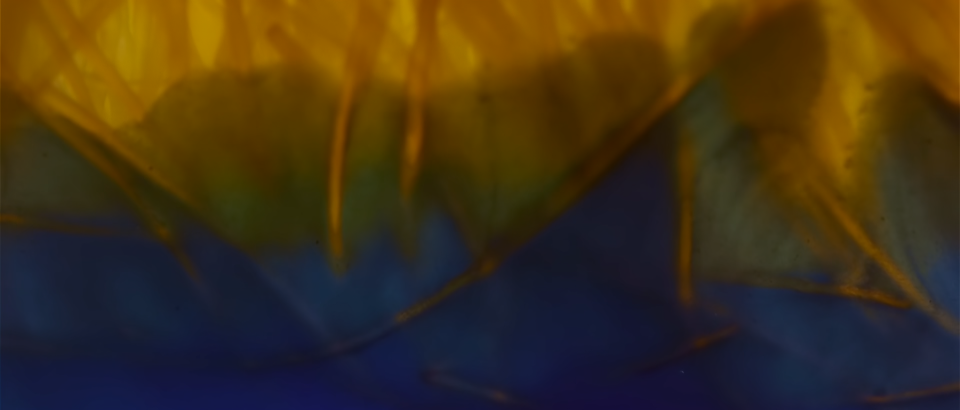 screenshot.uc.16.png