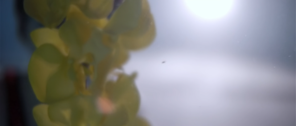 screenshot.uc.18.png