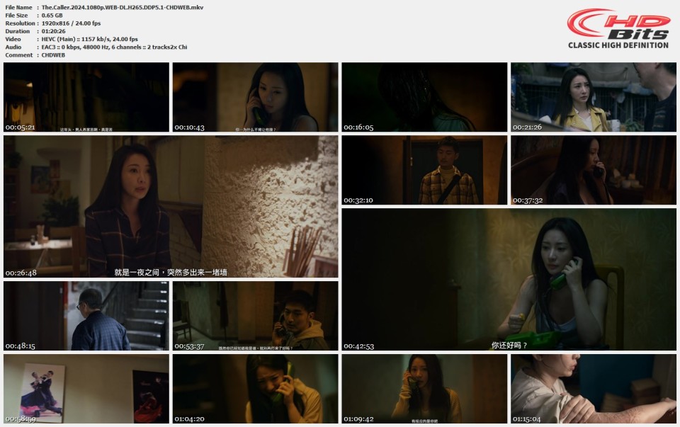 The.Caller.2024.1080p.WEB-DL.H265.DDP5.1-CHDWEB.mkv.jpg