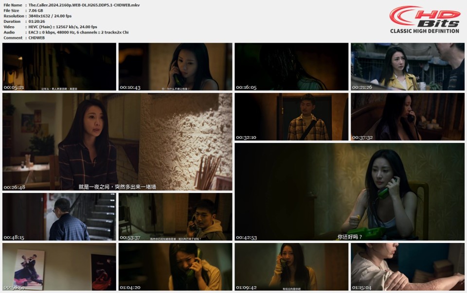 The.Caller.2024.2160p.WEB-DL.H265.DDP5.1-CHDWEB.mkv.jpg