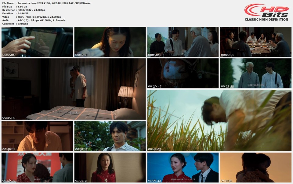 Encounter.Love.2024.2160p.WEB-DL.H265.AAC-CHDWEB.mkv.jpg