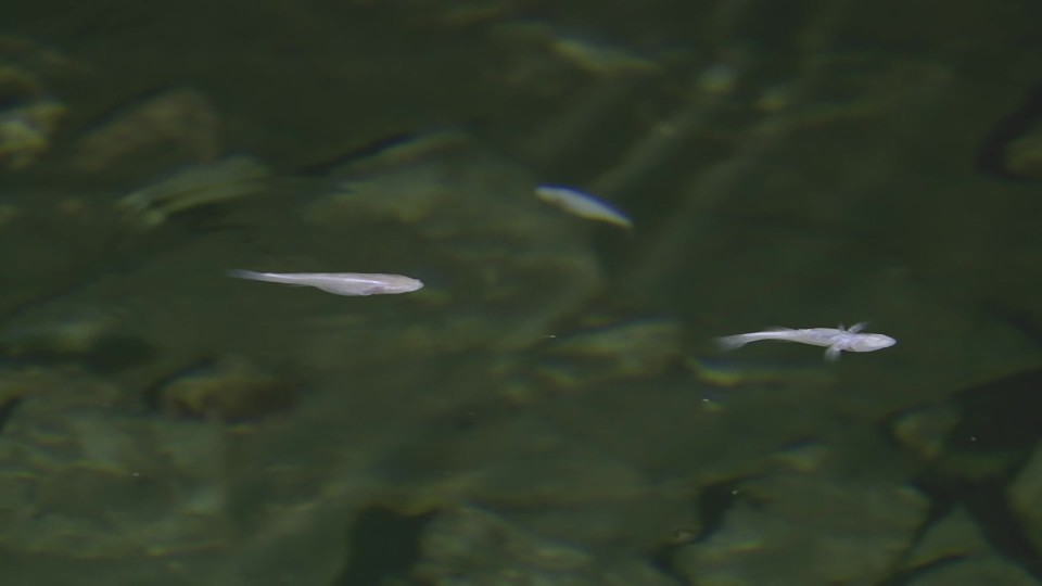 Md.E01.265.mkv_20240726_211340.111.jpg