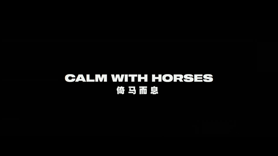 Calm-With-Horses-2020-1080P_001_10213.png