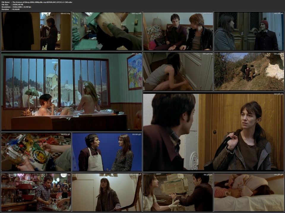 The.Science.of.Sleep.2006.1080p.Blu-ray.REMUX.AVC.LPCM.5.1-CHD.mkv.jpg