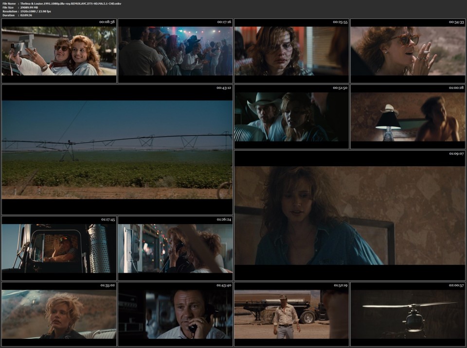 Thelma--Louise.1991.1080p.Blu-ray.REMUX.AVC.DTS-HD.MA.5.1-CHD.mkv.jpg