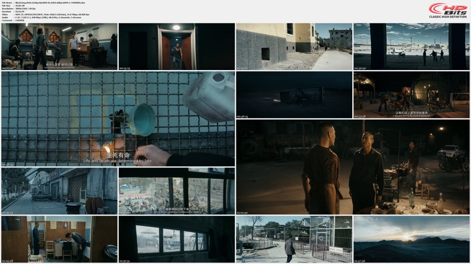 Black.Dog.2024.2160p.HQ.WEB-DL.H265.60fps.DDP5.1-CHDWEB.mkv.jpg