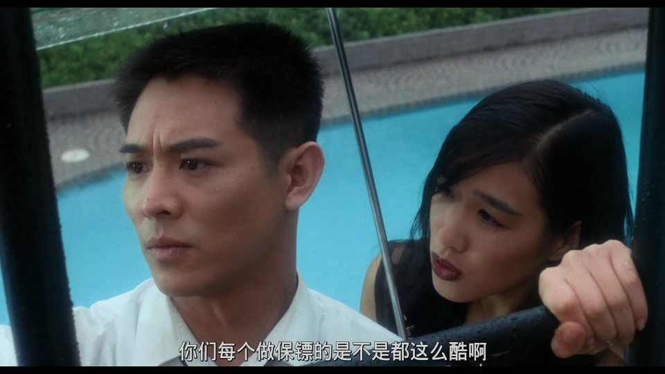 The-Bodyguard-From-Beijing-1994-1080P_001_73851.png