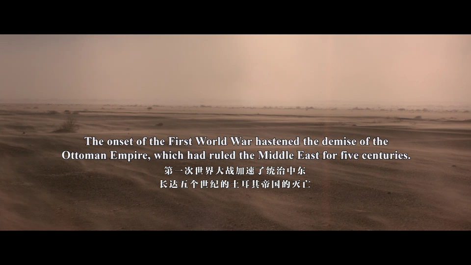 Queen.Of.The.Desert.2015.1080P_001_3539.png