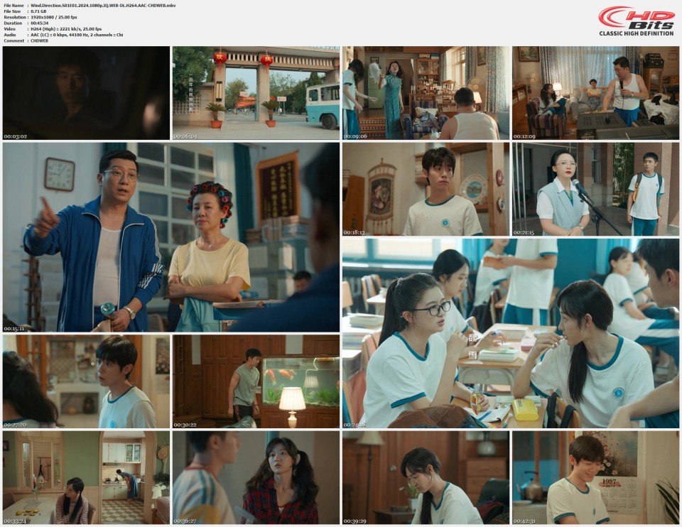 Wind.Direction.S01E01.2024.1080p.IQ.WEB-DL.H264.AAC-CHDWEB.mkv.jpg