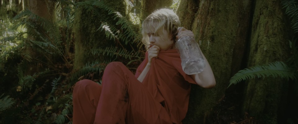 screenshot.sd.02.jpg
