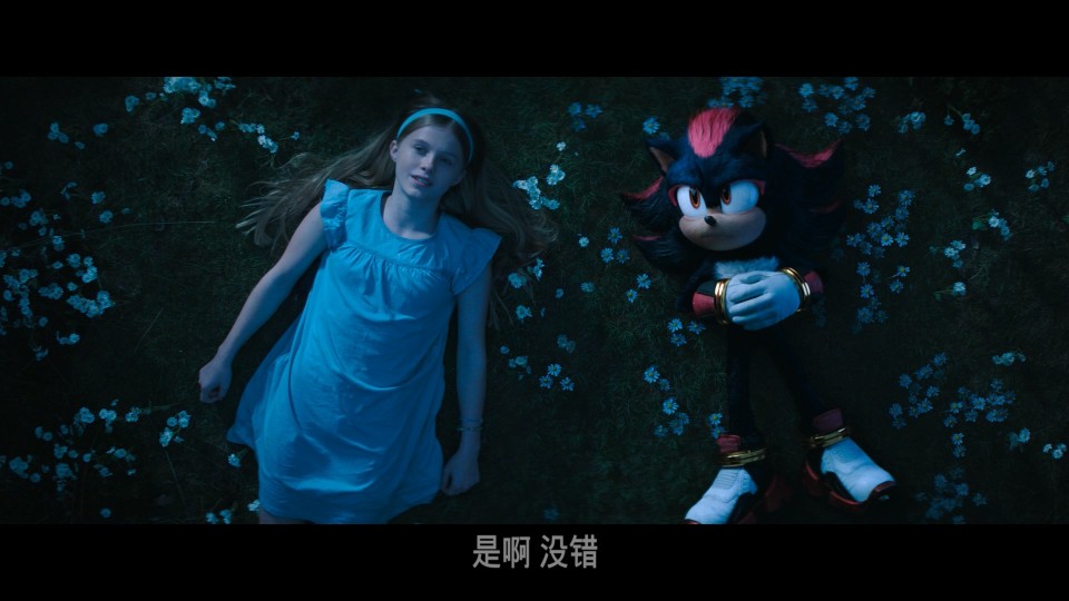 Sonic.The.Hedgehog.3.2024.1080p.Bluray.REMUX.AVC.TrueHD.7.1-CHD.mkv_003154.283.jpg