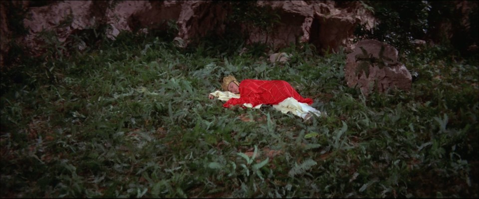 The.Monkey.Goes.West.1966.Bluray.1080p.LPCM.2.0.x264-CHD.mkv_20250413_100324.100.jpg