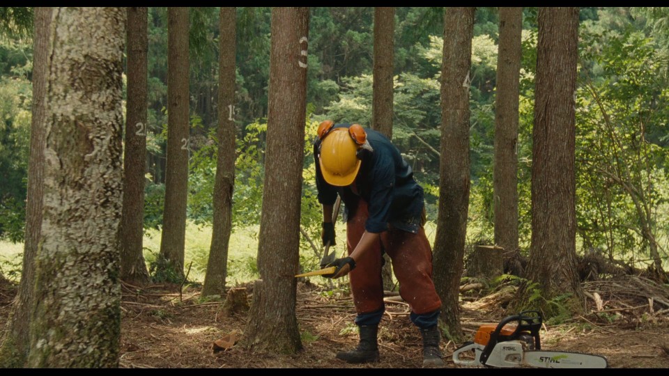 Wood-Job-2014.Bluray.1080p.iPad.AAC2.0.x264-CHDPAD.mp4_20250426_180509.585.jpg