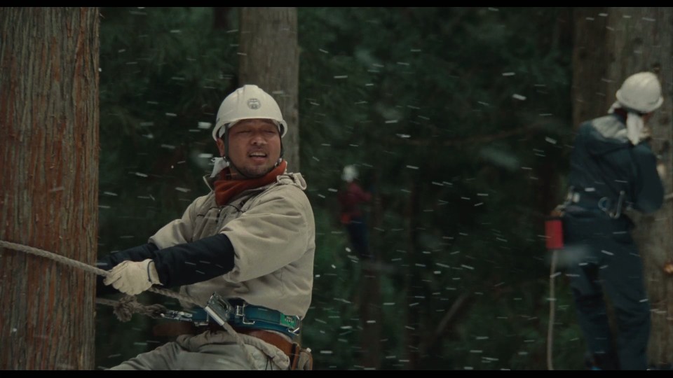 Wood-Job-2014.Bluray.1080p.iPad.AAC2.0.x264-CHDPAD.mp4_20250426_180520.693.jpg