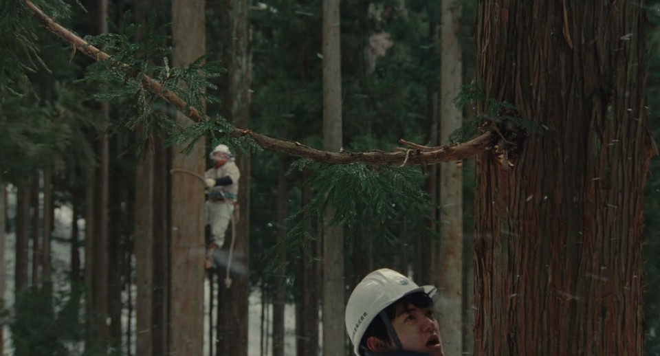 Wood-Job.2014.Bluray.1080p.DTS-HDMA5.1.x265.10bit-CHD.mkv_20250426_180239.469.jpg