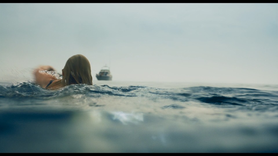Survive.2022.1080p.Bluray.Remux.AVC.DTS-HD.MA.5.1-CHD.mkv_20250427_101658.582.jpg