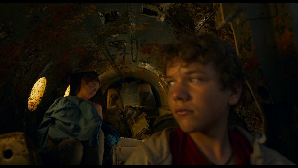 Survive.2022.1080p.Bluray.Remux.AVC.DTS-HD.MA.5.1-CHD.mkv_20250427_101738.251.jpg