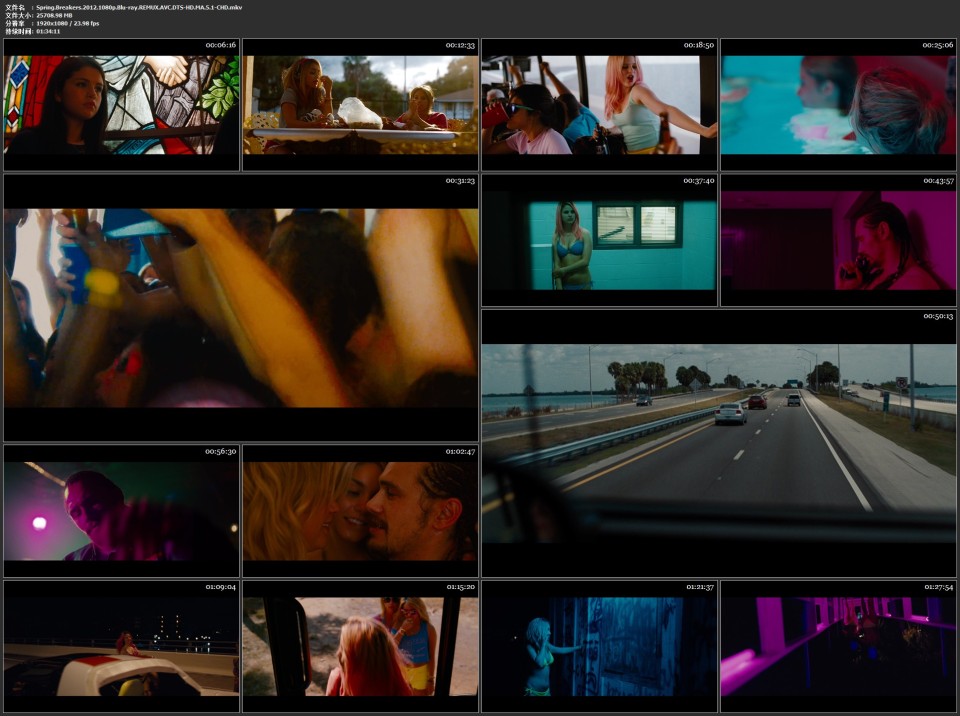 Spring.Breakers.2012.1080p.Blu-ray.REMUX.AVC.DTS-HD.MA.5.1-CHD.mkv.jpg