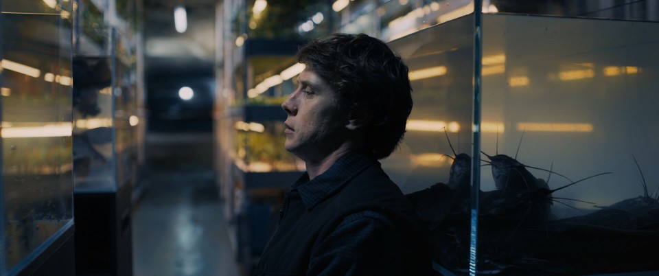 The.End.2024.1080p.Bluray.DTS-HD.MA.5.1.x264-CHD.mkv_20250520_201912.332.jpg